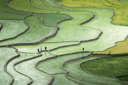 (Quỳnh Anh Nguyen)