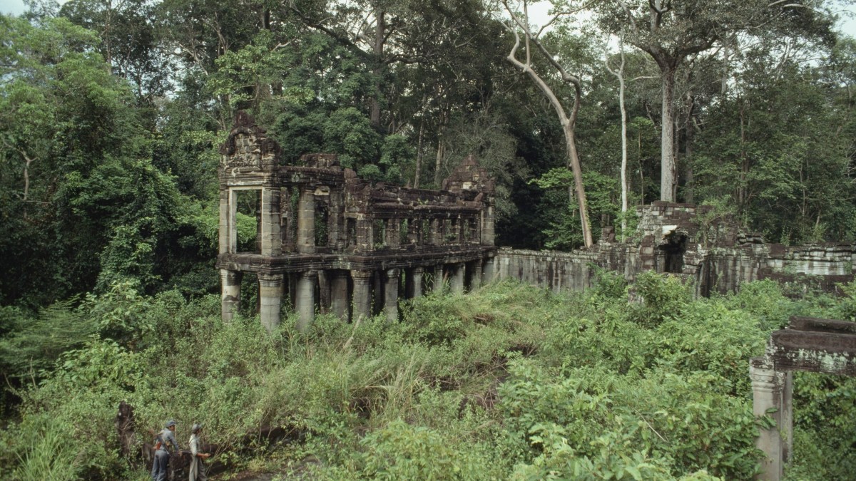 Cambodian Jungle