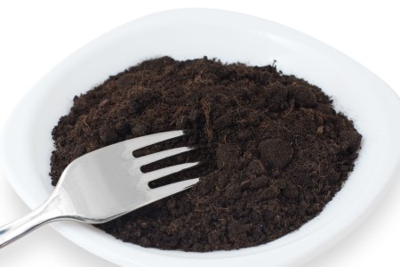 Plate of Dirt