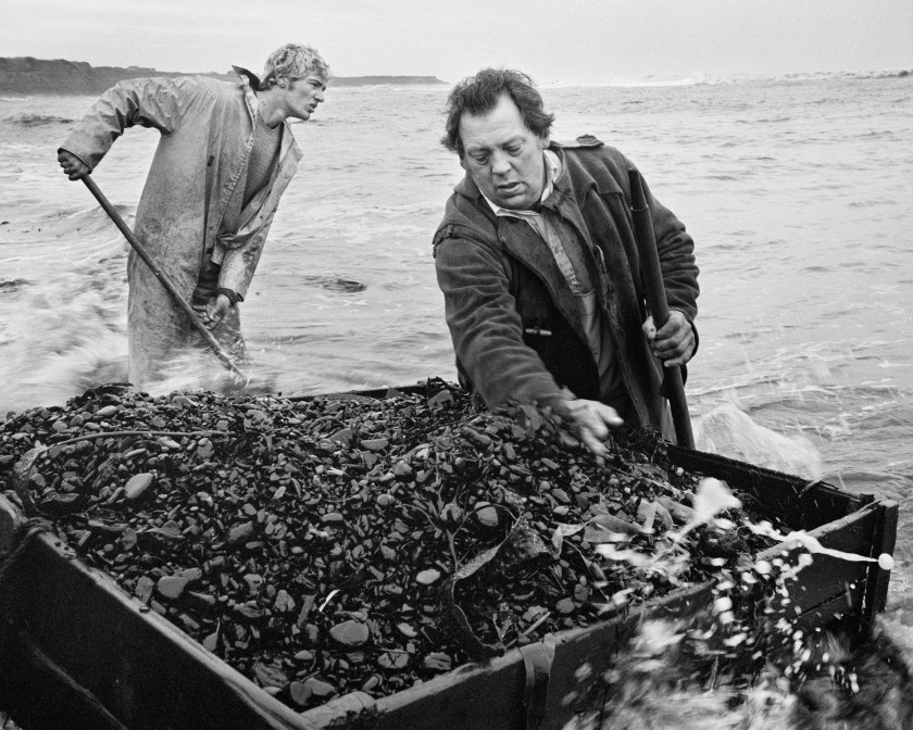Brian sorting coal (Seacoal by Chris Killip, published by Steidl)