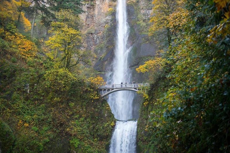 Tips for Visiting Portland from the Author of Fight Club http://www.wired.com/2016/05/what-to-do-in-portland/?mbid=social_twitter OREGON, UNITED STATES - 2014/11/07: View of Multnomah Falls with foot bridge in the fall, a waterfall near Portland along the Columbia River Gorge in Oregon, USA. (Photo by Wolfgang Kaehler/LightRocket via Getty Images)