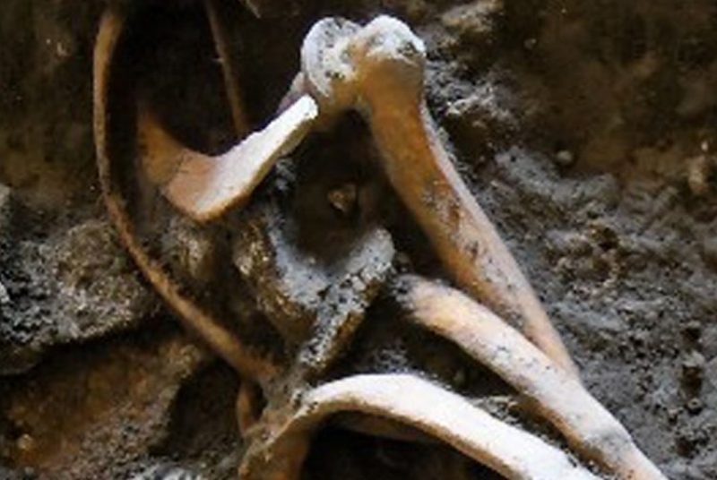 Skeleton's bones recently discovered in Pompeii, near Naples, Italy. (Pompeii Archeological Site Press Office via AP)