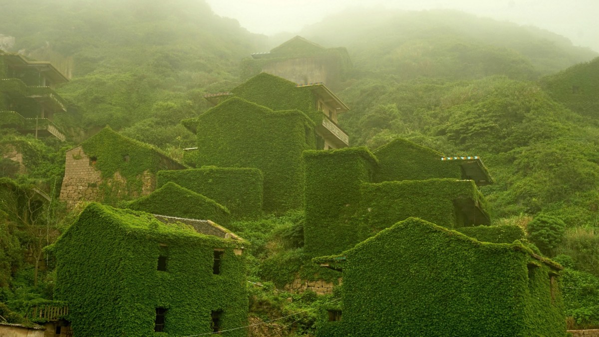 Houses are covered with vines at a deserted village on Shengshan Island. (VCG via Getty Images)