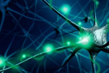 (Jose-Luis Olivares/MIT)