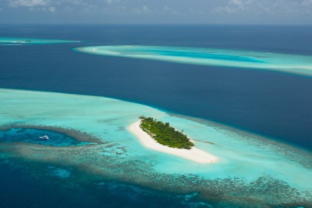 (Courtesy Four Seasons)