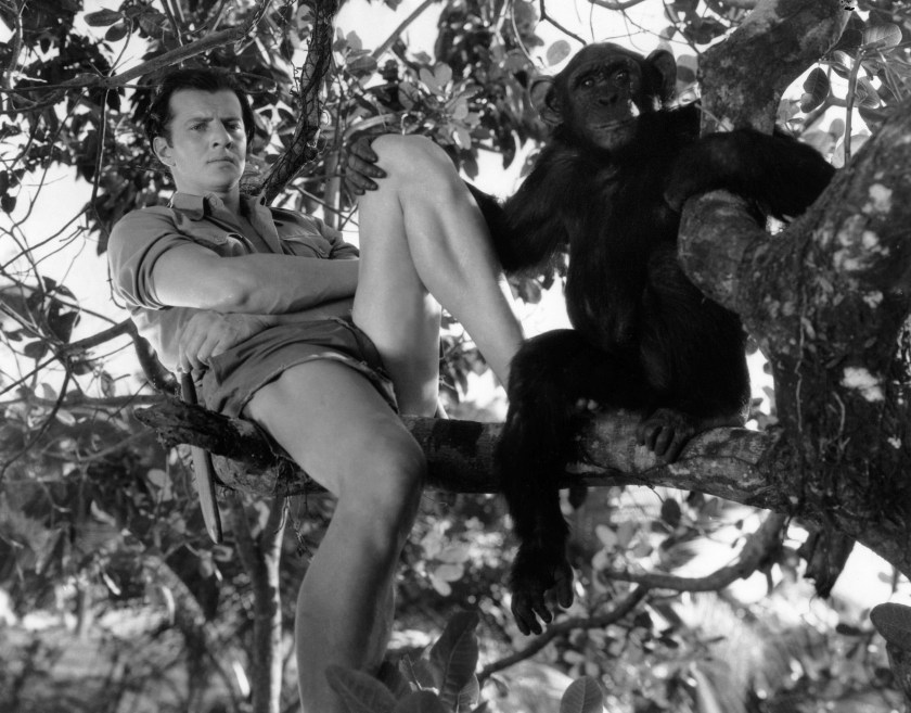 Evolution of Tarzan 