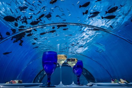 (Courtesy Hurawalhi)