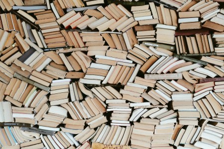 (Alexander Spatari/Moment/Getty Images)