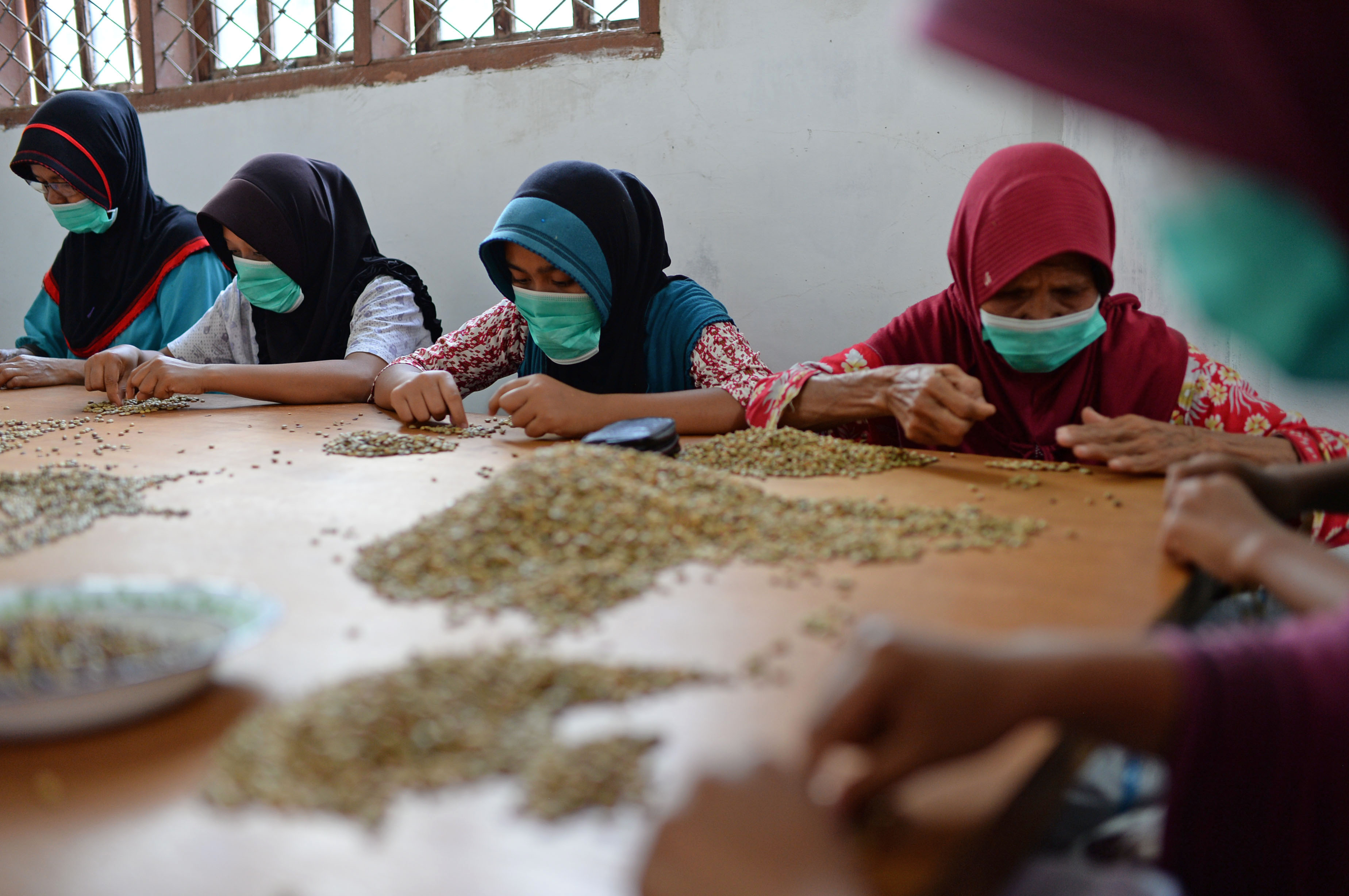 Employees inspect Arabica coffee beans at the Solok Radjo Cooperative coffee farm in Alahan Panjang, West Sumatra, Indonesia, on Friday, July 15, 2016. Coffee production in Indonesia will probably drop 10 percent this year after dry weather caused by the worst El Nino in almost two decades damaged some crops and delayed the harvest. (Dimas Ardian/Bloomberg via Getty Images)
