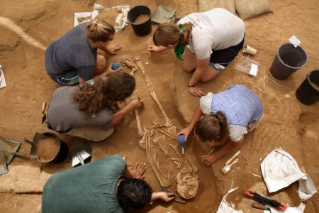 A team of foreign archaeologists extract skeletons at the excavation site of the first Philistine cemetery ever found on June 28, 2016 in the Mediterranean coastal Israeli city of Ashkelon.
With an excavation in southern Israel unearthing a Philistine cemetery for the first time, bones of the biblical giant Goliath's people can finally shed new light on mysteries of their culture. The cemetery's discovery marks the "crowning achievement" of some three decades of excavations in the area, the expedition's organisers say.


 / AFP / MENAHEM KAHANA / TO GO WITH AFP STORY BY DAPHNE ROUSSEAU        (Photo credit should read MENAHEM KAHANA/AFP/Getty Images)