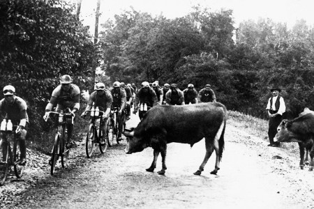 In a stage of the 1929 Tour de France, cyclists cross a herd of cows (Keystone-France/Gamma-Keystone via Getty Images)