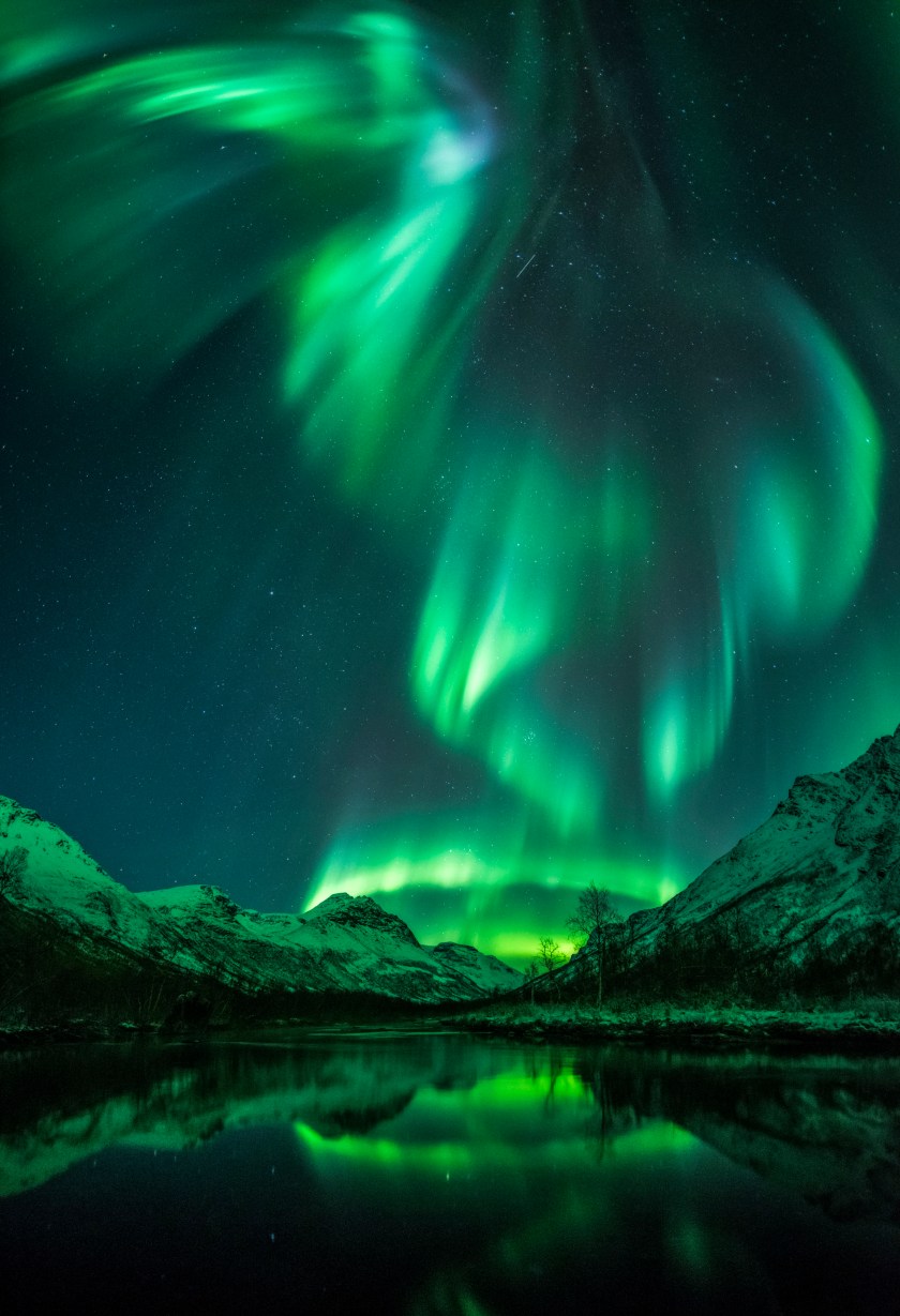 The vivid green Northern Lights resemble a bird soaring over open water in Olderdalen, Norway. (Jan Olsen)