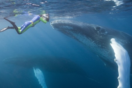 (Reinhard Dirscherl/WaterFrame/Getty Images)