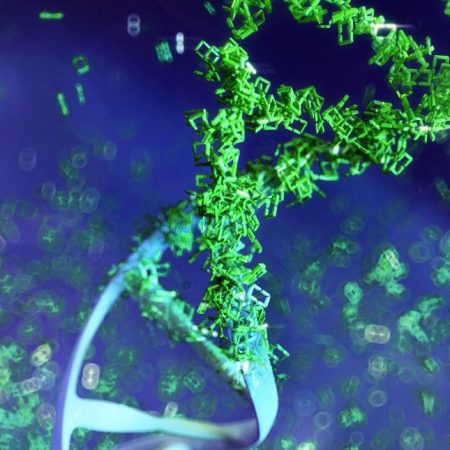 DNA Sequencing Could Lead to Customized Cancer Treatments