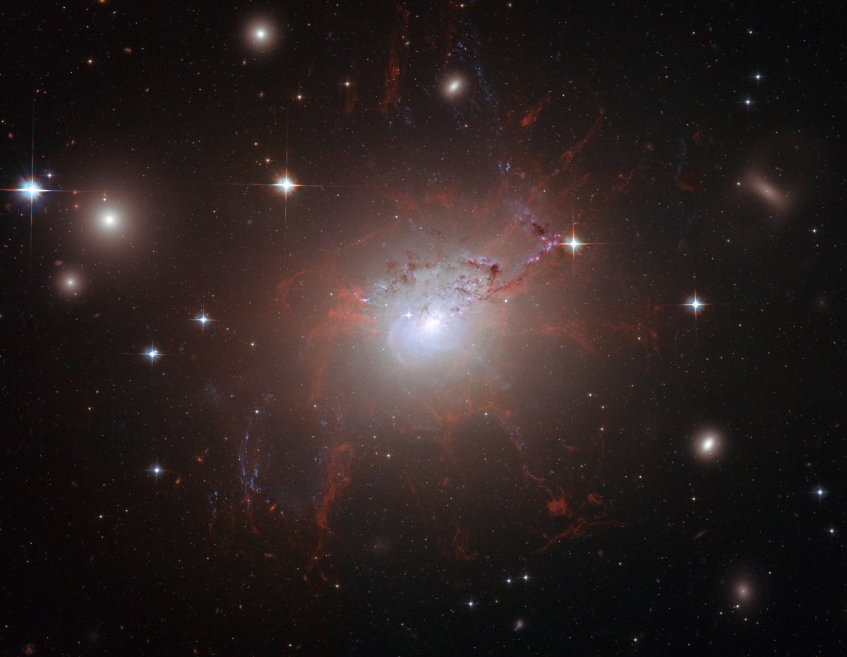 This stunning image of NGC 1275 was taken using the NASA/ESA Hubble Space Telescope's Advanced Camera for Surveys in July and August 2006. It provides amazing detail and resolution of the fragile filamentary structures, which show up as a reddish lacy structure surrounding the central bright galaxy NGC 1275. These filaments are cool despite being surrounded by gas that is around 55 million degrees Celsius hot. They are suspended in a magnetic field which maintains their structure and demonstrates how energy from the central black hole is transferred to the surrounding gas. By observing the filamentary structure, astronomers were, for the first time, able to estimate the magnetic field's strength. Using this information they demonstrated how the extragalactic magnetic fields have maintained the structure of the filaments against collapse caused by either gravitational forces or the violence of the surrounding cluster during their 100-million-year lifetime. This is the first time astronomers have been able to differentiate the individual threads making up such filaments to this degree. Astonishingly, they distinguished threads a mere 200 light-years across. By contrast, the filaments seen here can be a gaping 200 000 light-years long. The entire image is approximately 260 000 light-years across. Also seen in the image are impressive lanes of dust from a separate spiral galaxy. It lies partly in front of the giant elliptical central cluster galaxy and has been completed disrupted by the tidal gravitational forces within the galaxy cluster. Several striking filaments of blue newborn stars are seen crossing the image.