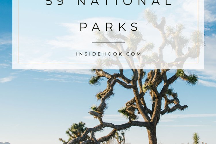 Best Thing to Do in Each National Park