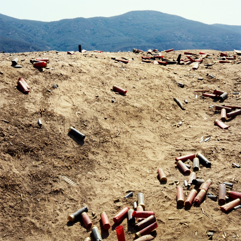 Angeles National Forest #3, 1988 (Anthony Hernandez)