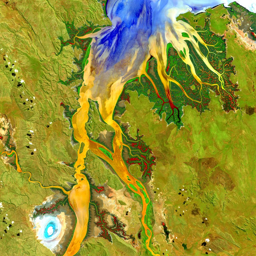 The biologically complex conditions of mangroves are shown in dark green along the fingers of the Ord River in Australia. Yellow, orange, and blue represent the impressive flow patterns of sediment and nutrients in this tropical estuary. The bright spot at the lower left is an area of mudflats, which is home to saltwater crocodiles. (USGS/NASA)