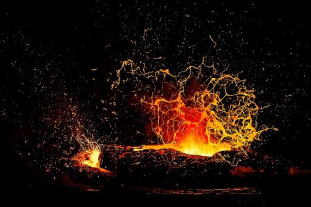 Wildlife Photographer of the Year