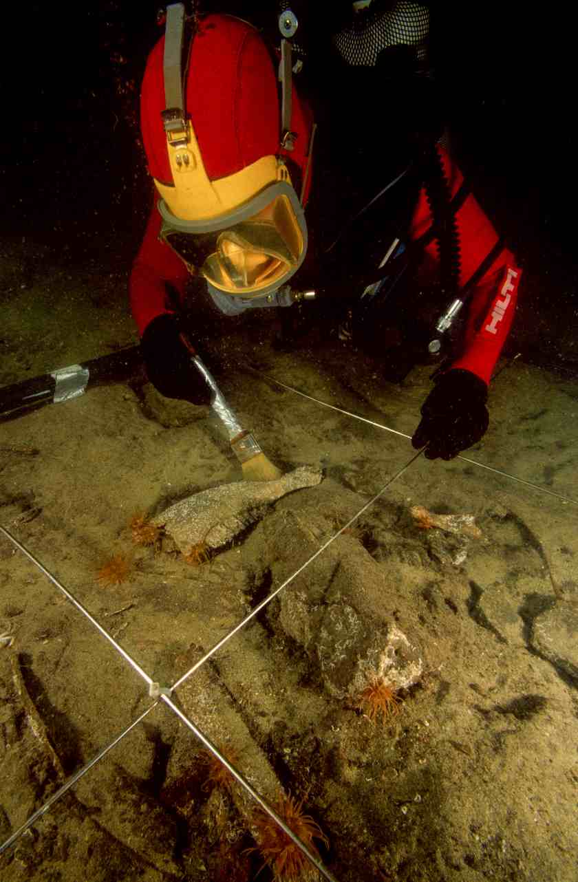 An archaeologist diver using a brush to clear remnants of f auna including a bovid jaw discovered under 2.5 cm of sand on the site of Canopus in Aboukir Bay. (Franck Goddio/Hilti Foundation)