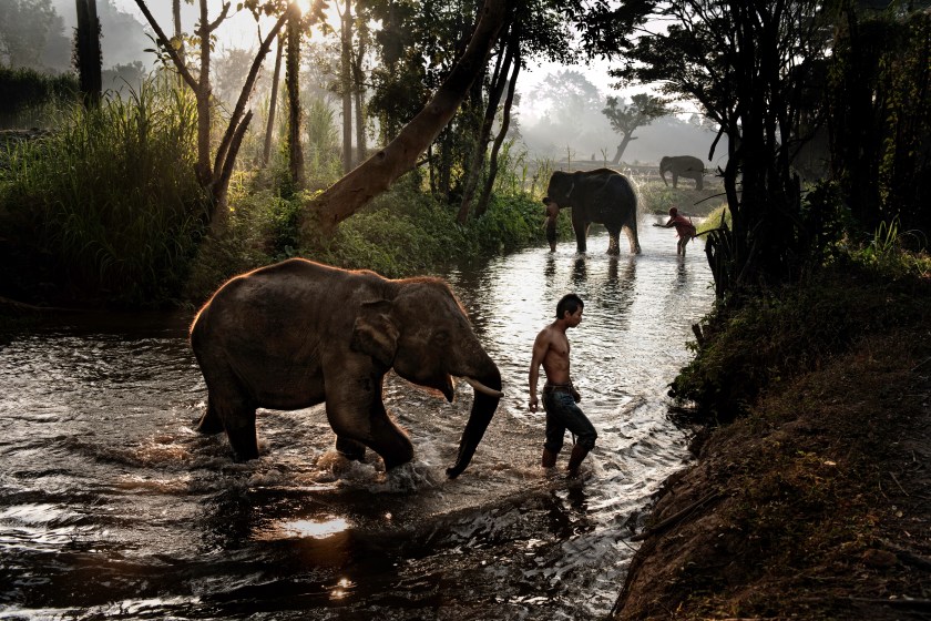 Boy and elephant crossing a stream near Chiang Mai, Thailand in 2010. (Steve McCurry/Magnum Photos)