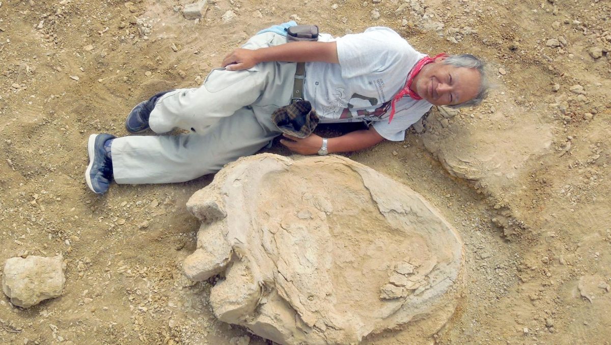 Professor Shinobu Ishigaki lies next to a dinosaur print in the Gobi Desert.(Courtesy of Shinobu Ishigaki/Okayama University of Science)