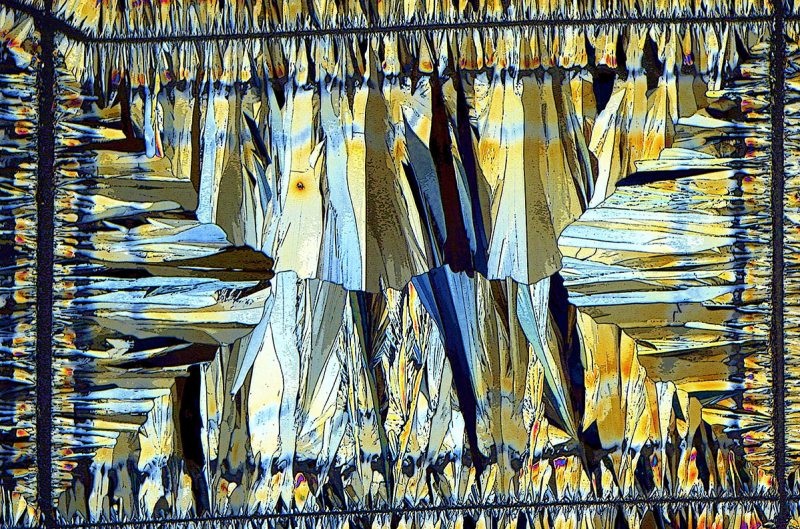 USA: Feature Rates Apply Mandatory Credit: Photo by SpikeWalker/RPS/Bournemouth/REX/Shutterstock (6047461g) Crystals of Paracetamol from alcoholic solution scratched to initiate crystallization Microscope images of creatures, vitamins, crystals, UK - Sep 2016 *Full story: http://www.rexfeatures.com/nanolink/srsr These incredible microscopic images of creatures, vitamins, crystals and even a fetus are to be recognised with an award from the Royal Photographic Society. Spike Walker has been fascinated by photomicrography since he got his first microscope just after the conclusion of the Second World War, when he was about 12-years-old. Now his life's passion is to be recognised with a Scientific Imaging Award from one of the world's oldest and prestigious photographic societies. The accolade is given to an individual for a body of photography which promotes public knowledge and understanding. The RPS said Spike's decades of work and immeasurable contribution to the field make him the perfect recipient.