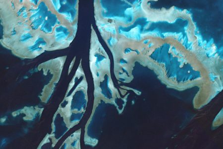 Taken on July 7, 2016, tidal channels cut through unnamed reefs off the coast of Queensland. These corals are part of the enormous Great Barrier Reef, which stretches for 1,400 miles along the coast of mainland Australia in the Coral Sea. (Courtesy Planet Labs)
