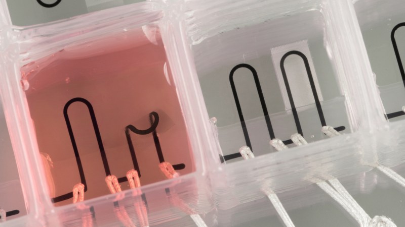 The heart-on-a-chip is entirely 3D printed with built-in sensors that measure the contractile strength of the tissue, providing scientists with new possibilities for studying the musculature of the heart (Johan Lind, Michael Rosnach, Disease Biophysics Group/Lori K. Sanders, Lewis Lab/Harvard University)