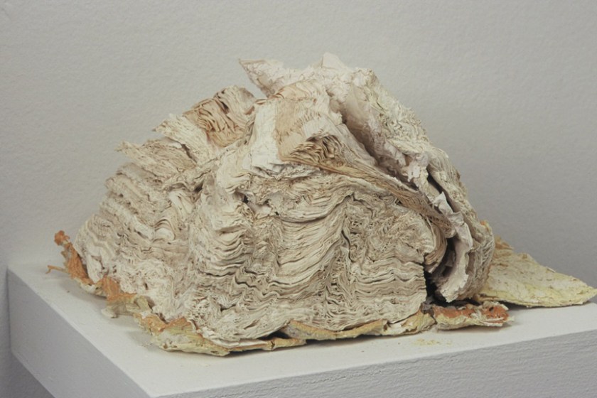 Artist Who Fossilizes Books
