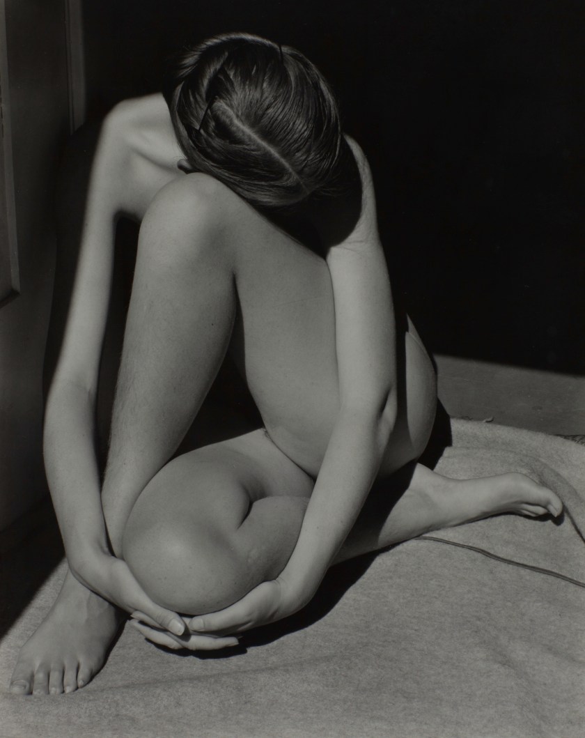 "Nude" by Edward Weston, 1936 (The Sir Elton John Photography Collection/ 1981 Center for Creative Photography, Arizona Board of Regents)