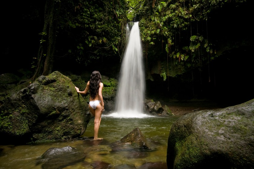 Dominica's Emerald Pool is among the island many natural wonders. (Getty Images)