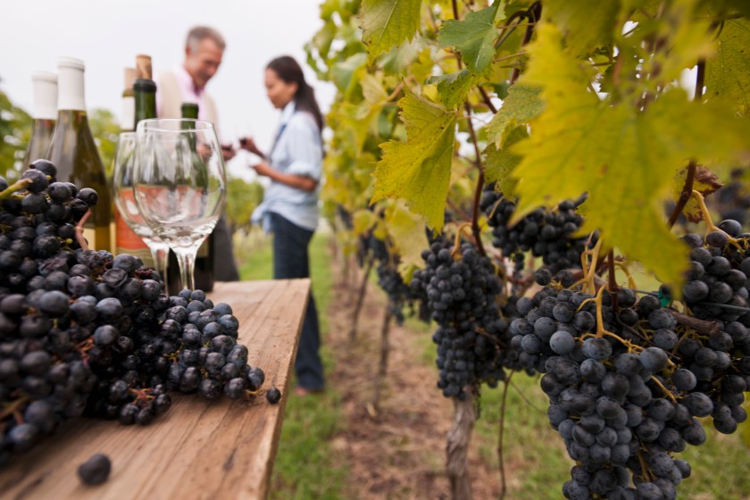 Oldman recommends a New Mexico vineyard, Gruet, selling a top-notch $15 of champagne (Getty Images)