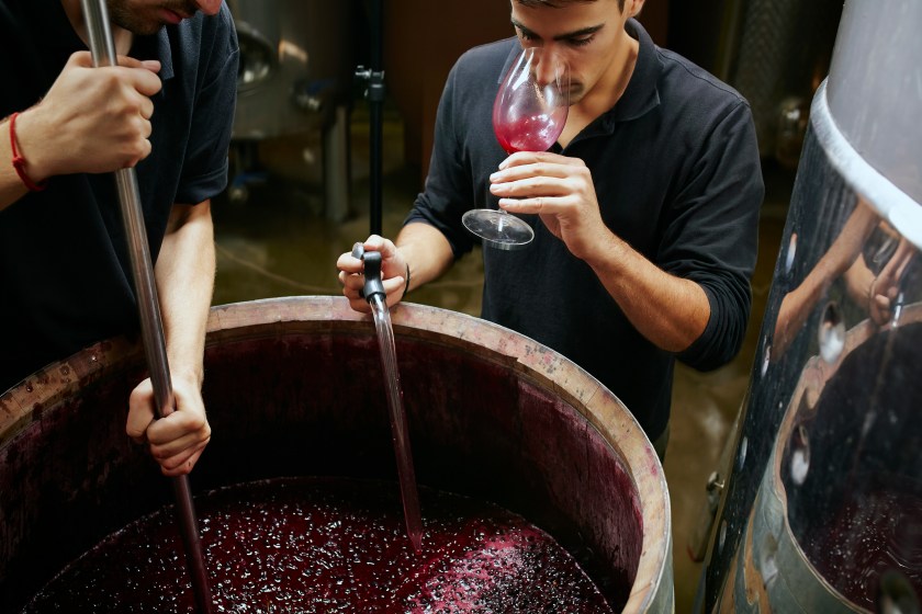 Oenologist checking the wine properties before closing barrels (Getty Images)