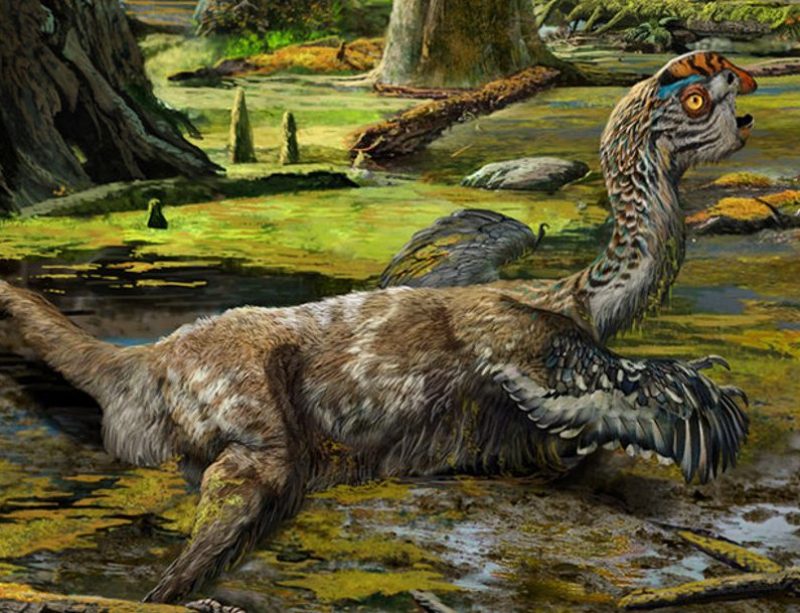 New Species of Dinosaur Discovered in China InsideHook