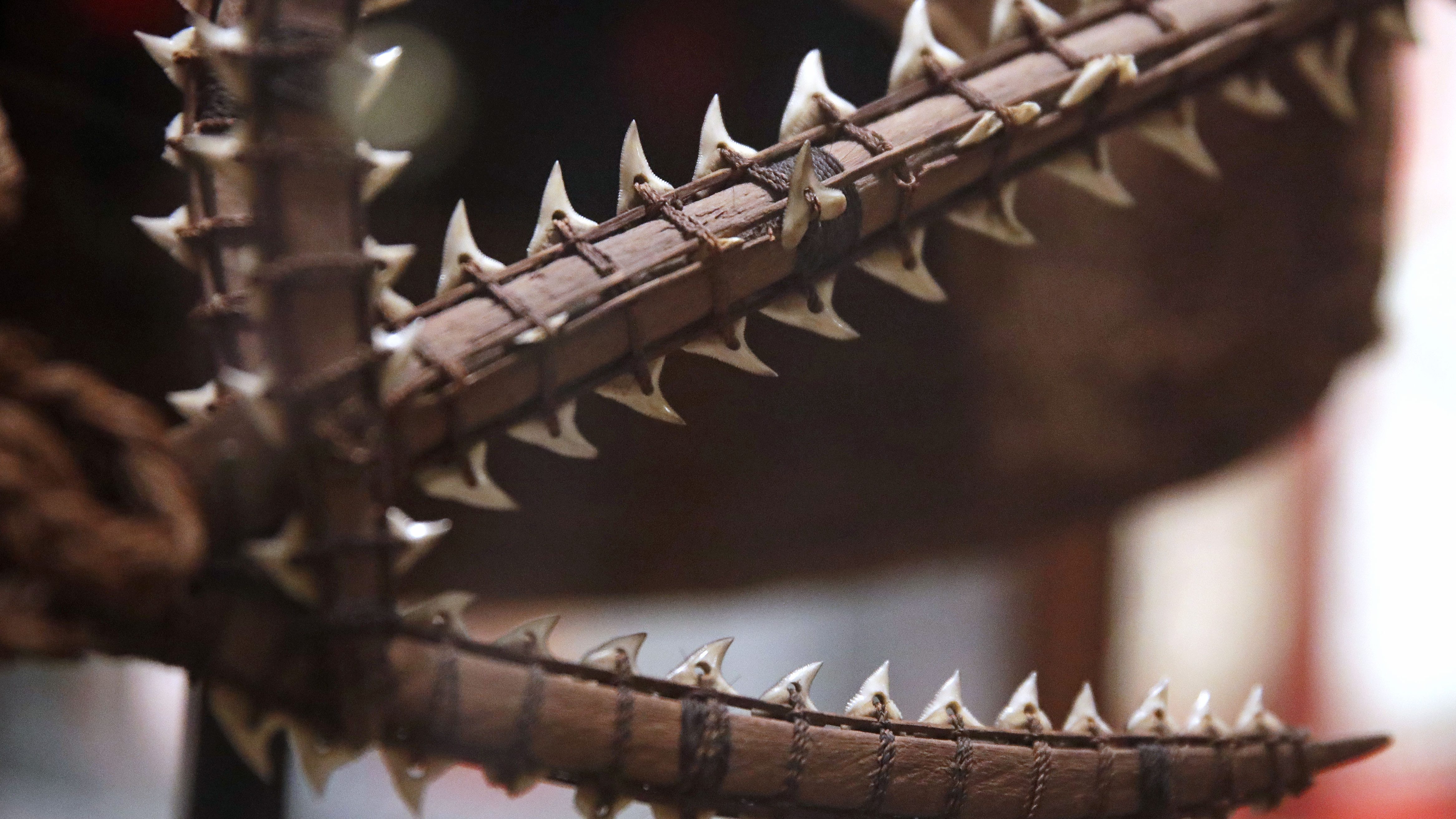 Detail of an ancient shark tooth sword from the South Pacific are displayed as part of the Arts of War exhibit at the Peabody Museum of Archaeology & Ethnology at Harvard University in Cambridge, Mass., Thursday, Oct. 13, 2016. The Peabody, one of the oldest and largest museums in the world focused on the study of societies and cultures, turns 150 years old this month. (AP Photo/Charles Krupa)