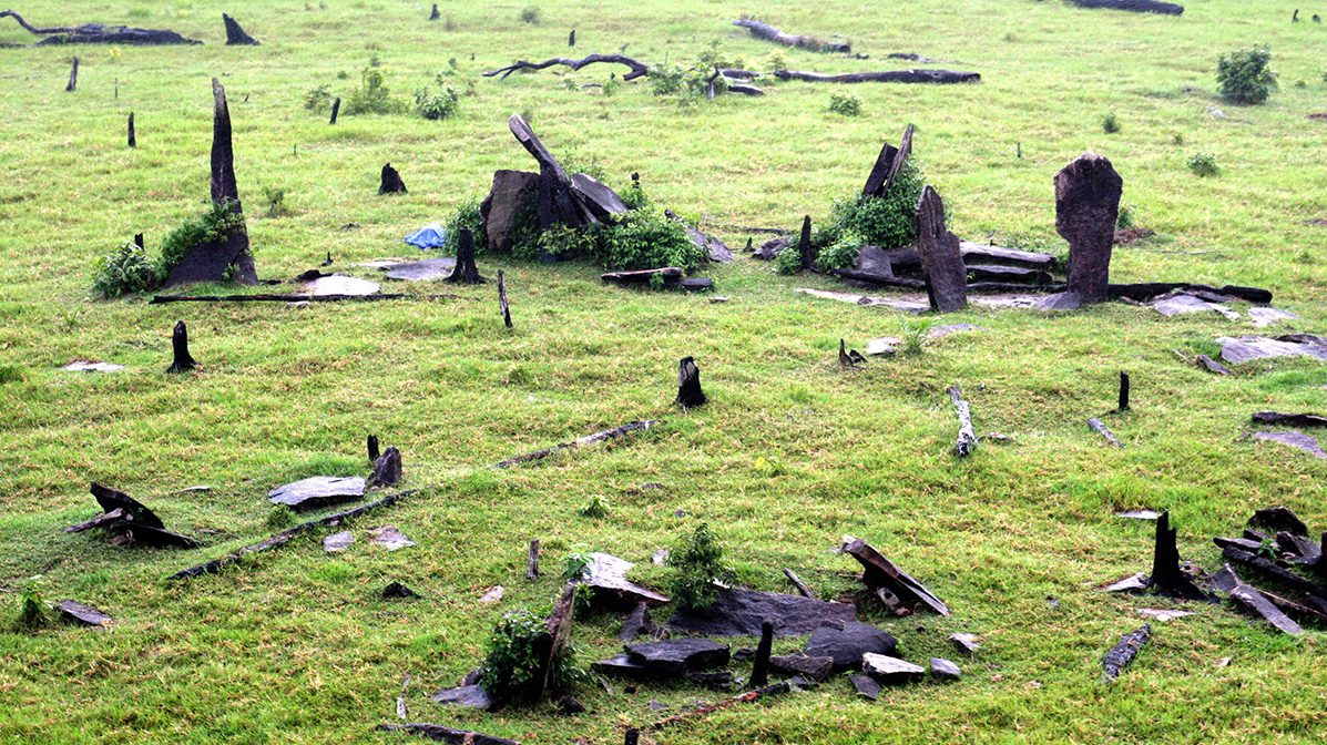 Discovery of the Amazon's Stonehenge Because of Deforestation