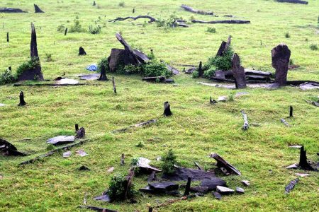 Discovery of the Amazon's Stonehenge Because of Deforestation