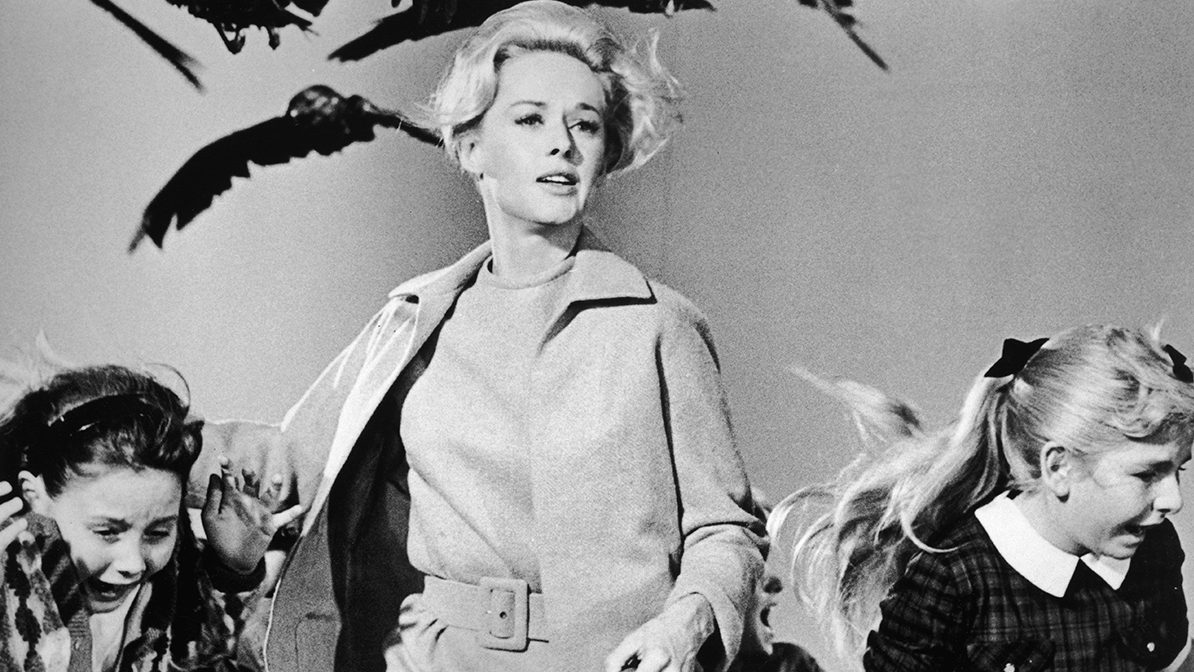 1963, American actor Tippi Hedren and a group of children run away from the attacking crows in a still from the film 'The Birds' directed by Alfred Hitchcock. (Universal Studios/Getty Images)