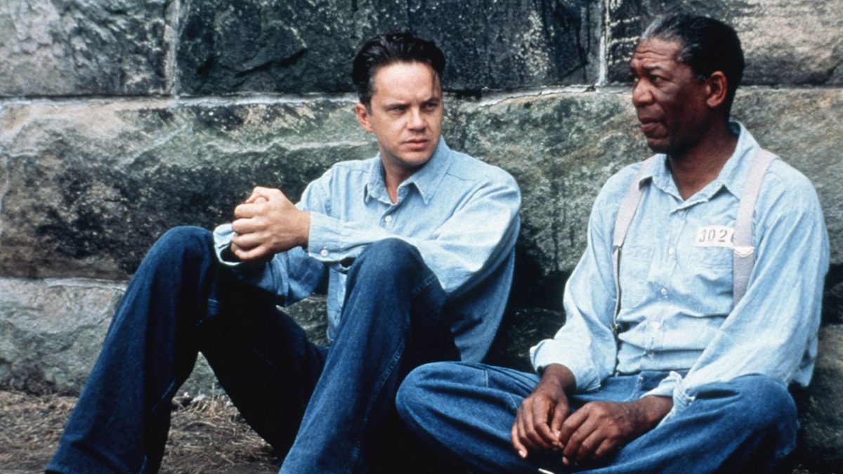 Shawshank Redemption Actor Tim Robbins Works in Real Prison System