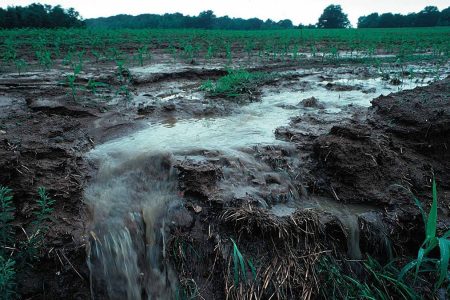 Rainfall runoff following fertilizer applications on farm fields can cause nutrient loss, potentially polluting waterways. (Penn State/Flikr)