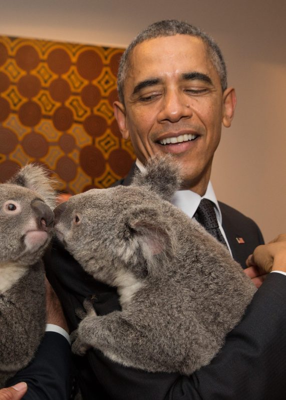 In this handout photo provided by the G20 Australia, Australia's Prime Minister Tony Abbott and United States' President Barack Obama meet Jimbelung the koala before the start of the first G20 meeting on November 15, 2014 in Brisbane, Australia. (Andrew Taylor/G20 Australia via Getty Images)