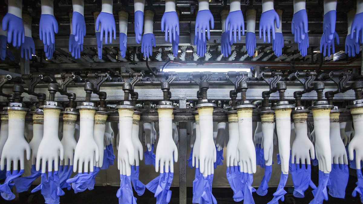 Latex gloves on hand-shaped molds move along an automated system on the production line at a Top Glove Corp. factory in Setia Alam, Selangor, Malaysia, on Thursday, Dec. 3, 2015. Top Glove, the world's biggest rubber-glove maker commanding over a quarter of the market, expects to conclude at least one acquisition in the fiscal year through August as the Malaysian company seeks to maintain record earnings momentum. (Charles Pertwee/Bloomberg via Getty Images)