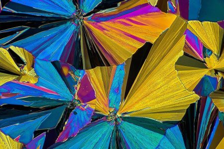 (Peter Juzak via YouTube)