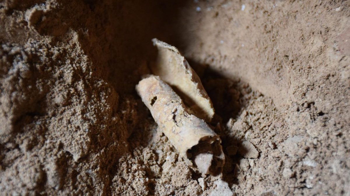 A piece of parchment to be processed for writing, found rolled up in a jug, in a cave on the cliffs west of Qumran excavated by Hebrew University archaeologists. (Casey L. Olson and Oren Gutfeld)