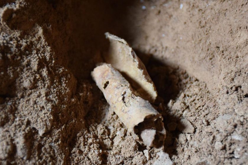 A piece of parchment to be processed for writing, found rolled up in a jug, in a cave on the cliffs west of Qumran excavated by Hebrew University archaeologists. (Casey L. Olson and Oren Gutfeld)