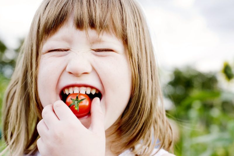 Young Girl(5-6) biting into cherry tomato, smiling, garden in background,Food and Drink, Food, Freshness, Nature, Vegetable, cherry tomato, tomato
