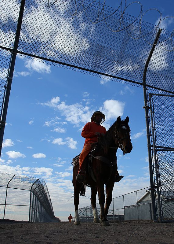 An inmate rides a wild horse as part of the Wild Horse Inmate Program ( WHIP) at Florence State Prison in Florence, Arizona, U.S., December 2, 2016. (Mike Blake/Reuters)    