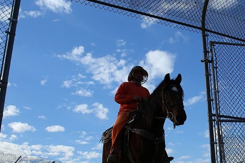 An inmate rides a wild horse as part of the Wild Horse Inmate Program ( WHIP) at Florence State Prison in Florence, Arizona, U.S., December 2, 2016. (Mike Blake/Reuters) 