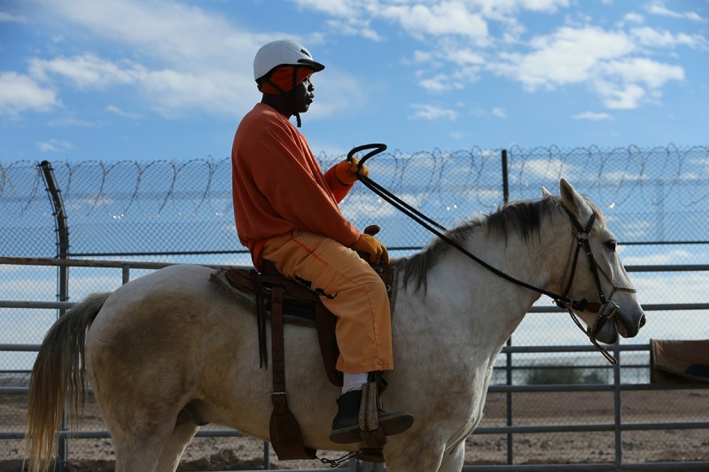 An inmate rides a wild horse as part of the Wild Horse Inmate Program (WHIP) at Florence State Prison in Florence, Arizona, U.S., December 2, 2016. (Mike Blake/Reuters) 